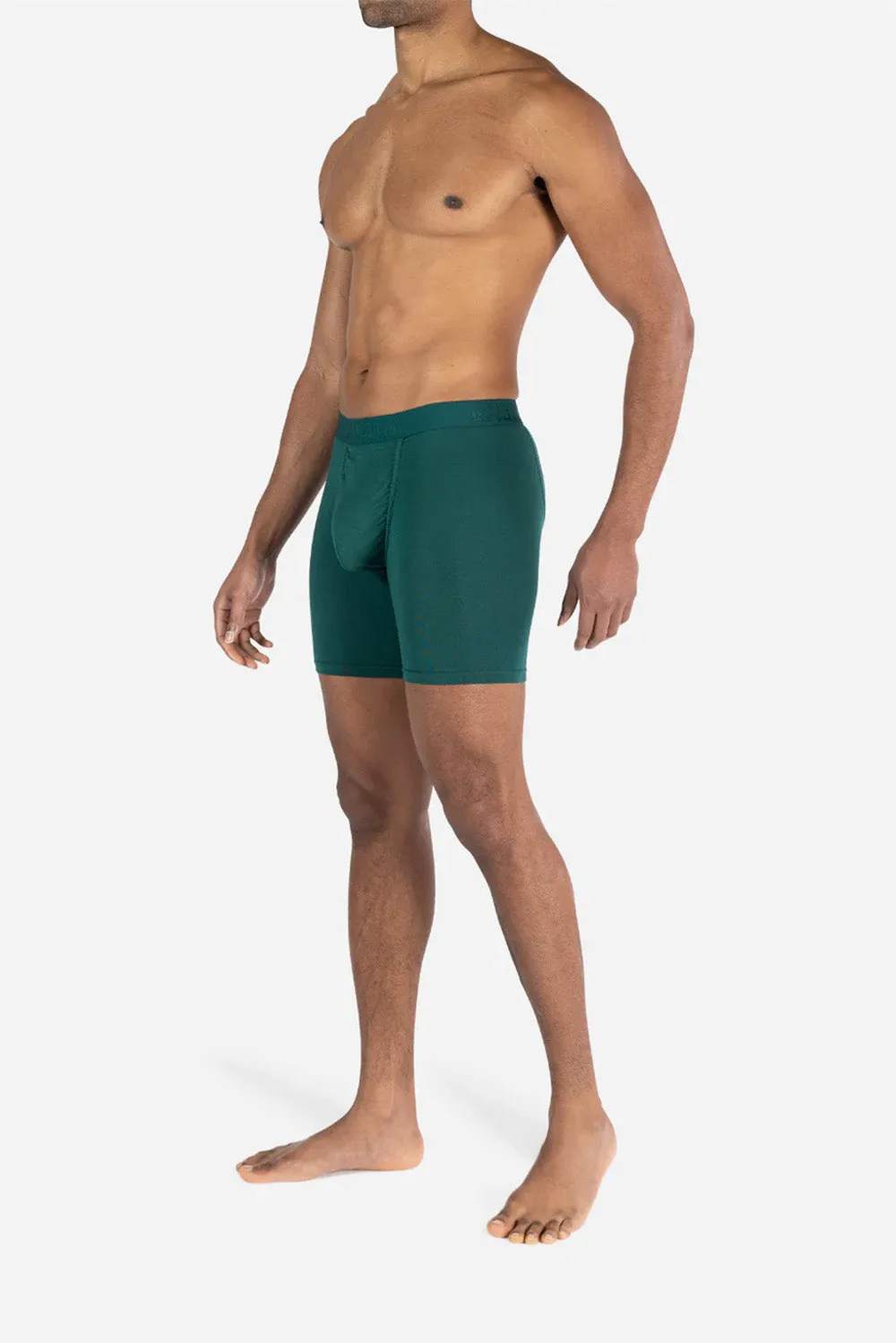 CLASSICS BOXER BRIEF Eucalyptus