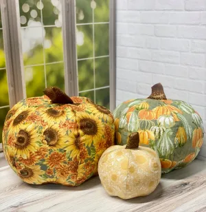 Patty's Pumpkin Patch