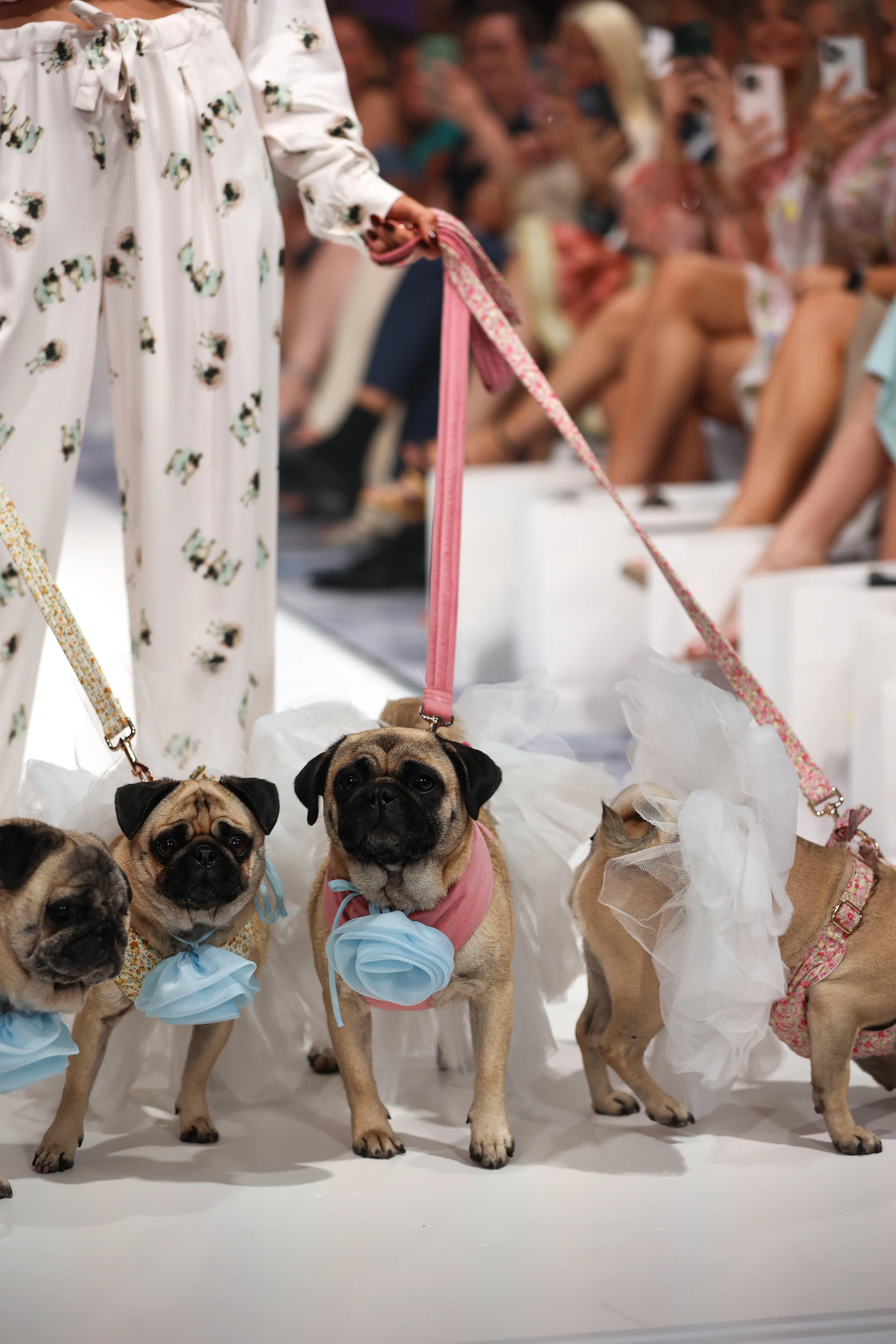 Ruby Pug Lounge PJ Set