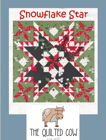 Snowflake Star